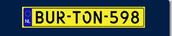 Burton 598
